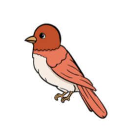 bird