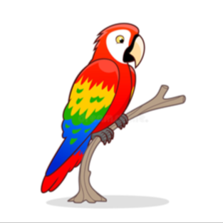 parrot