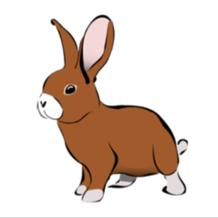 rabbit